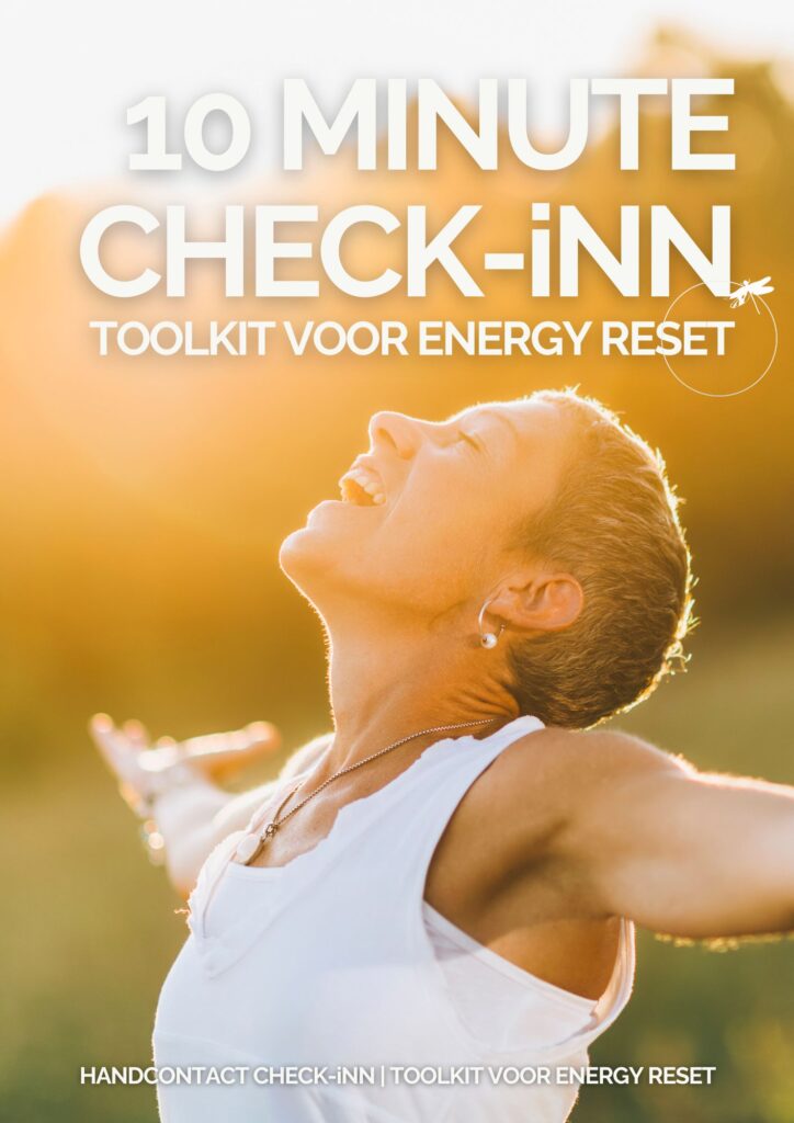 CHECK-iNN ENERGY RESET TOOLKIT